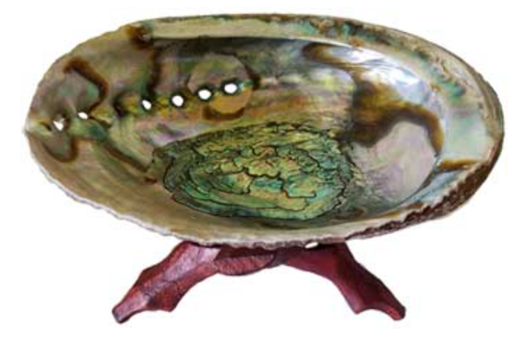 5"- 6" Abalone Shell incense burner with stand