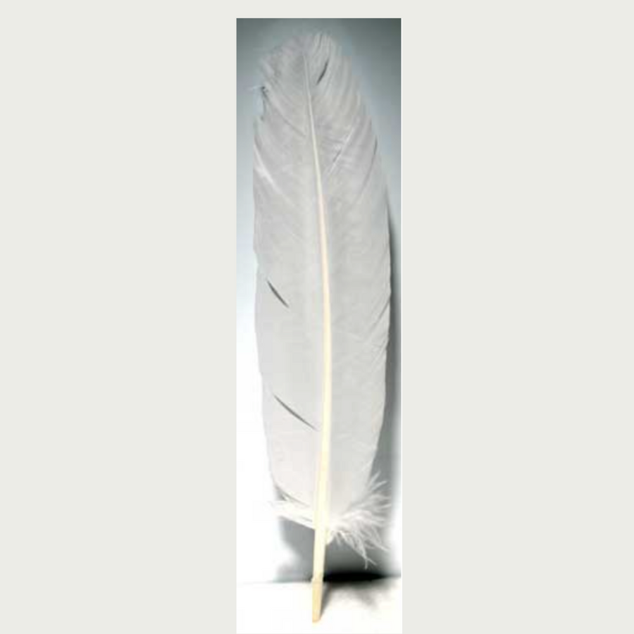 White feather 12"